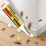 عجينة للقضاء على الصراصير