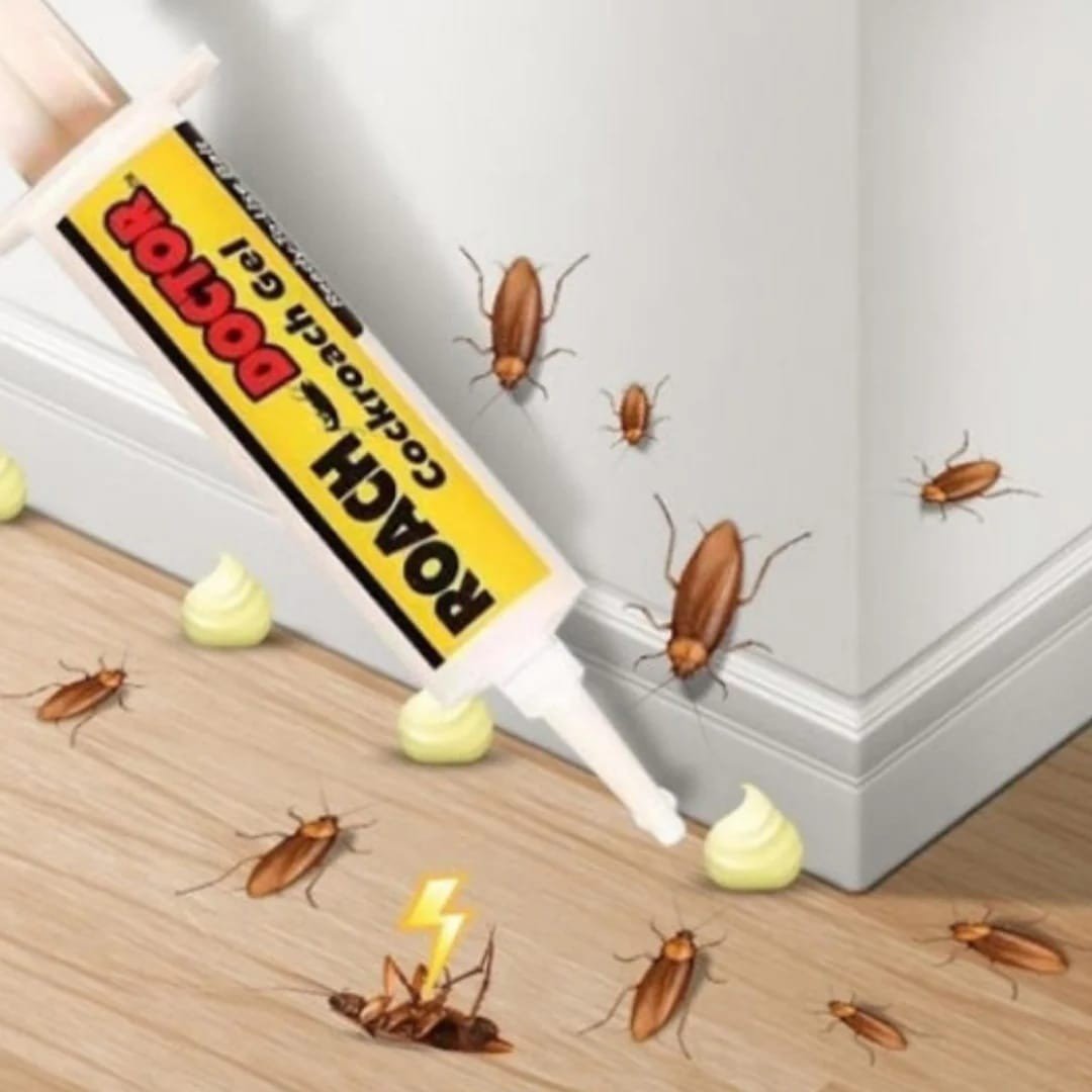 Picture483 عجينة للقضاء على الصراصير - الصورة 1