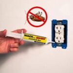 ⁦عجينة للقضاء على الصراصير⁩ - الصورة ⁦3⁩