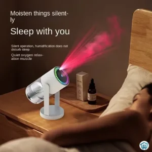 Portable air humidifier (2)